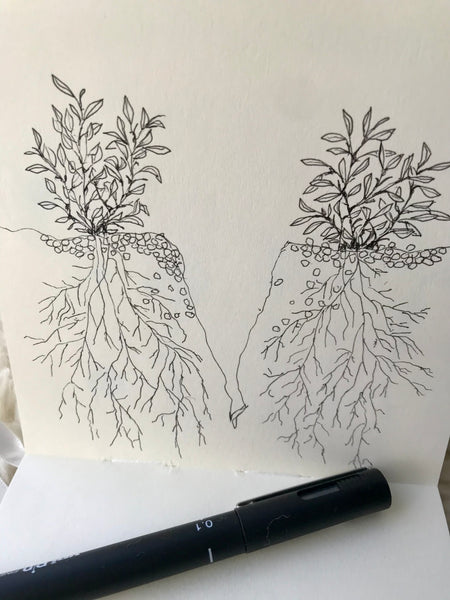 Gallery / Teikning / Drawing